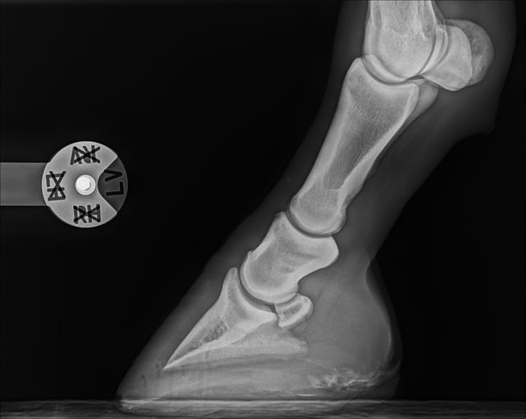 Multiclip DR røntgenmarkeringsclips. Viser: LV/RV/LH/RH. Ø skive: 5 cm,  hulbredde: 2,7 cm